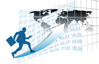 乐鱼电竞在线平台-中国篮球职业联赛赛事运营风险管理研究,篮球赛事运营方案