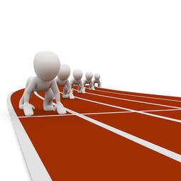 Leyu Sport下载-中国篮球职业联赛赛事运营风险评估与管理对策,篮球赛事安全风险