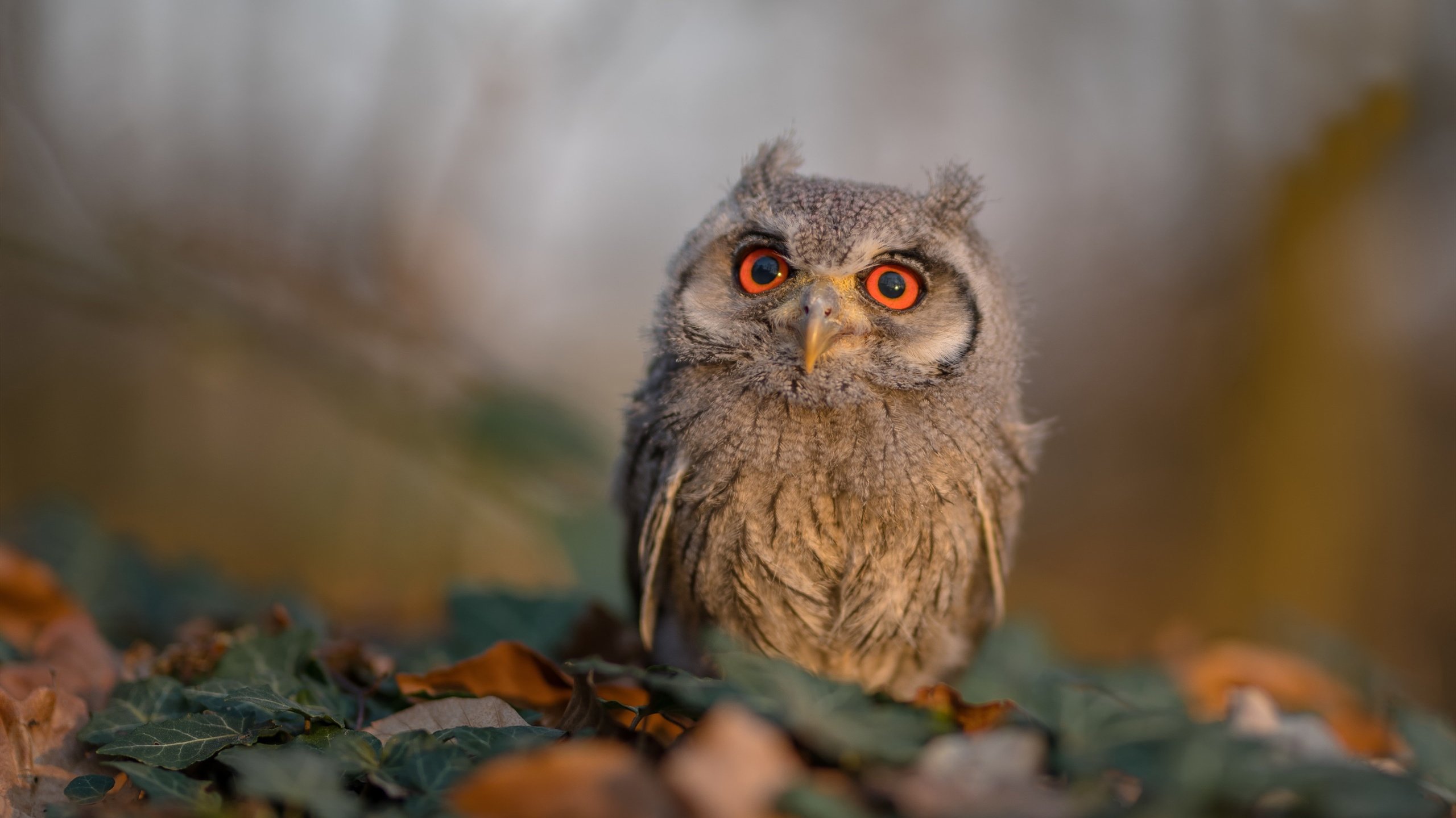 leyu乐鱼-体育新闻中心深化体育赛事数据智能分析应用，最新的体育赛事新闻稿