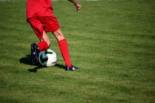 乐鱼体育平台官网-基层足球项目评估体系尚未建立