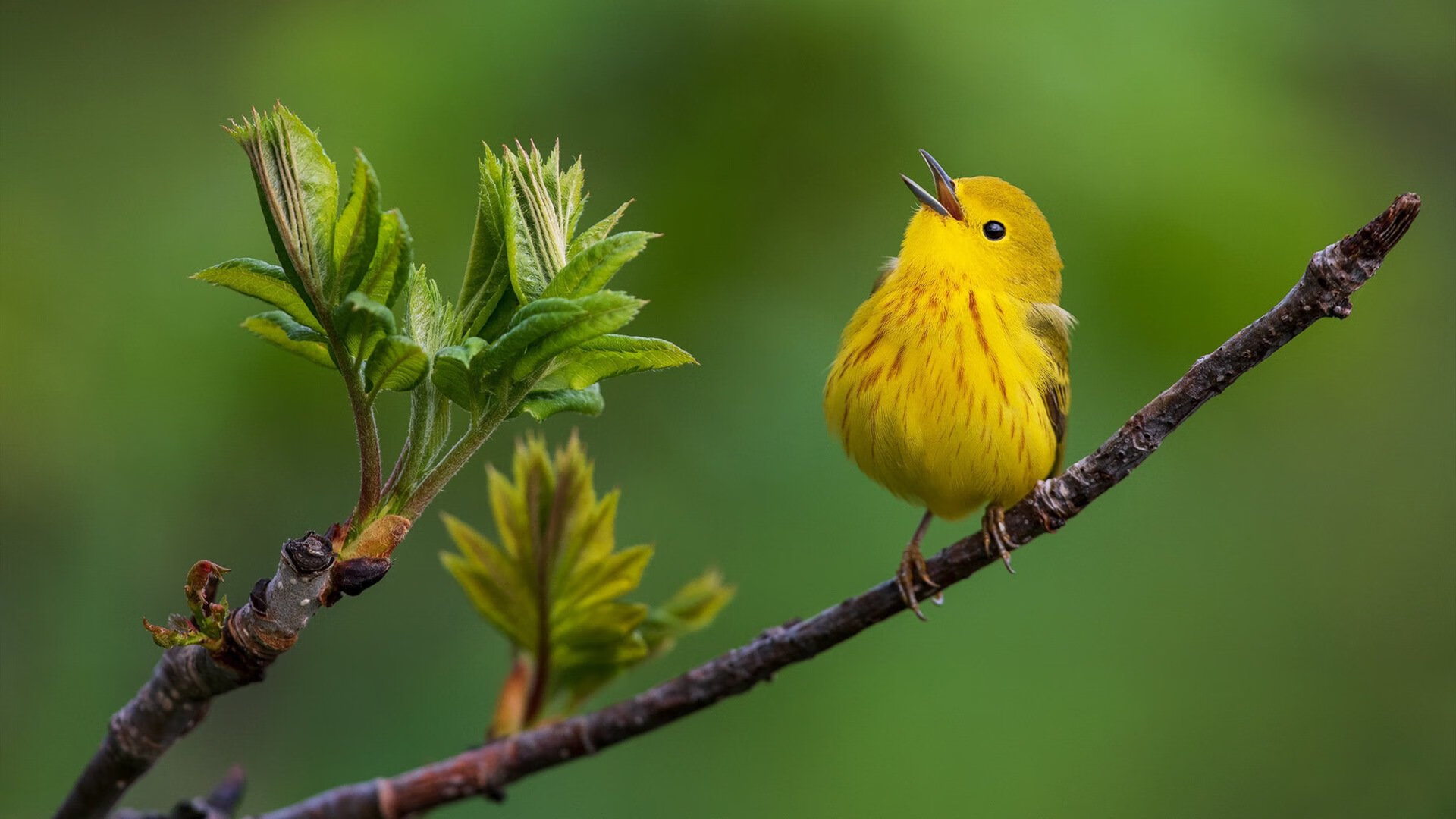 乐鱼(中国)体育官方网站-快节奏战术对体能管理的挑战,快节奏举例