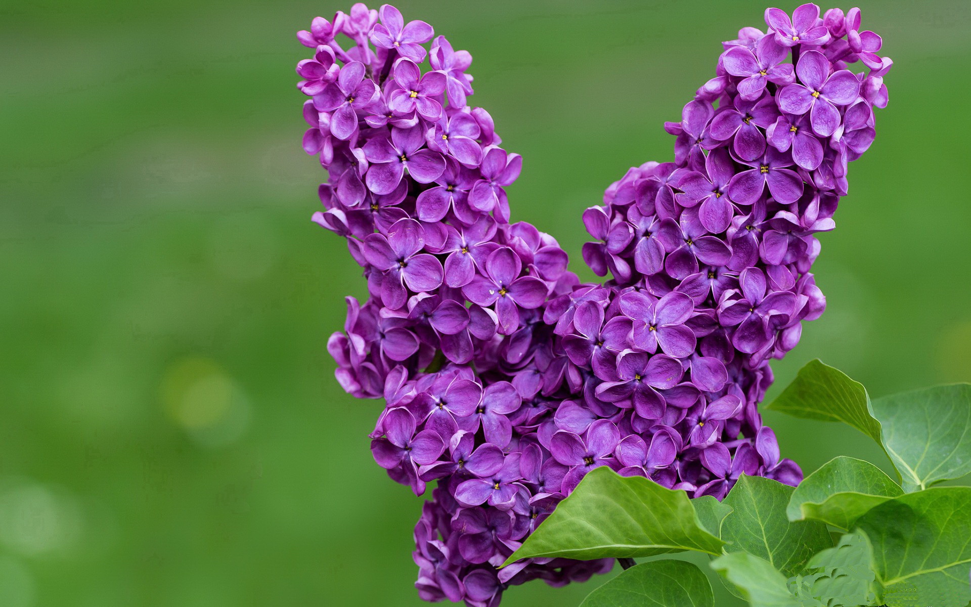 乐鱼电竞· (中国)官方网站-76人引入战术虚拟实景系统提升实战模拟，76人进攻战术