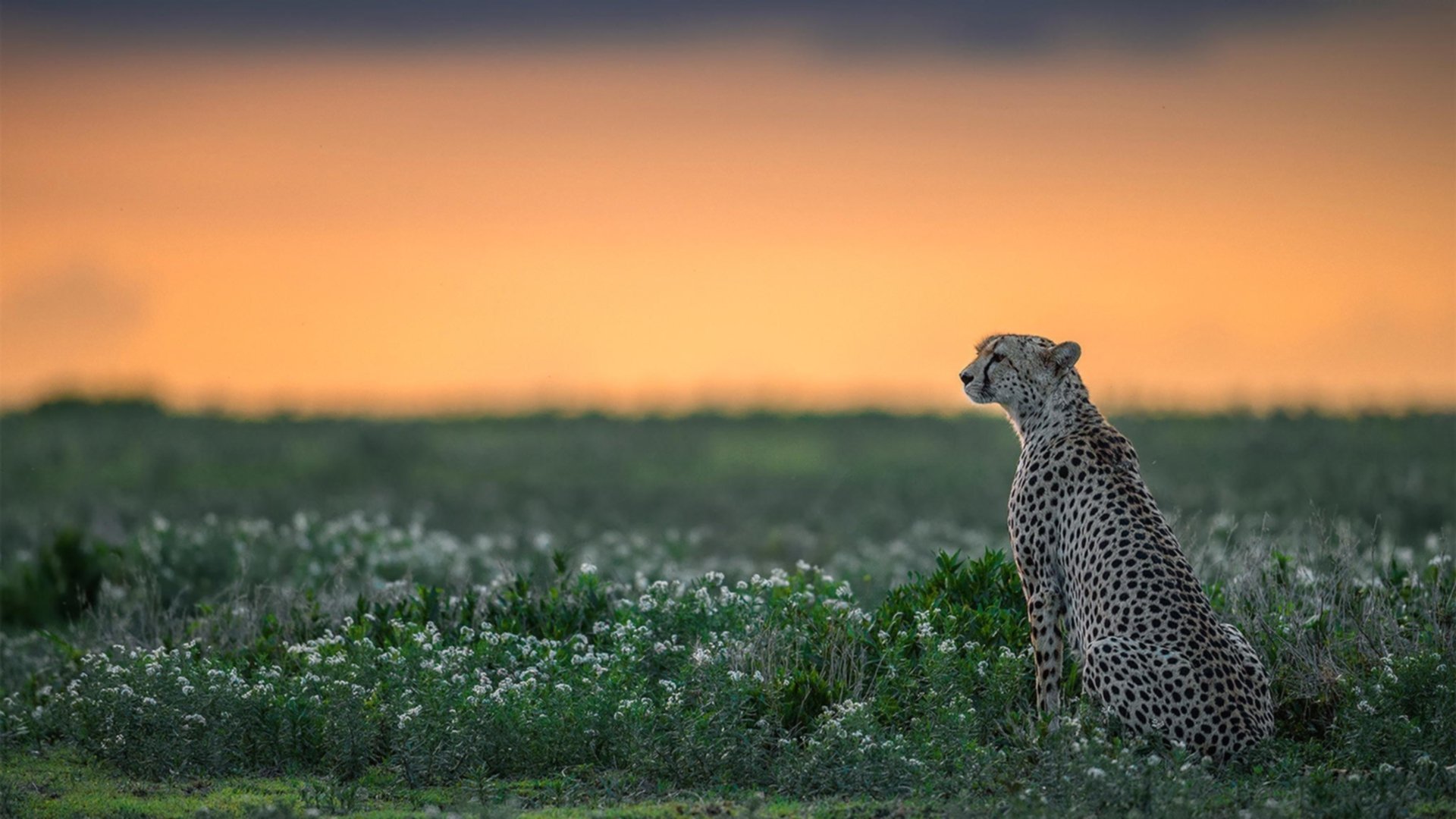 leyu乐鱼-公牛核心球员伤后复出球队氛围回暖,公牛球队著名球员