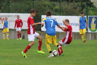 乐鱼体育登录-塞尔维亚实力不断提升，期待在国际大赛中突破