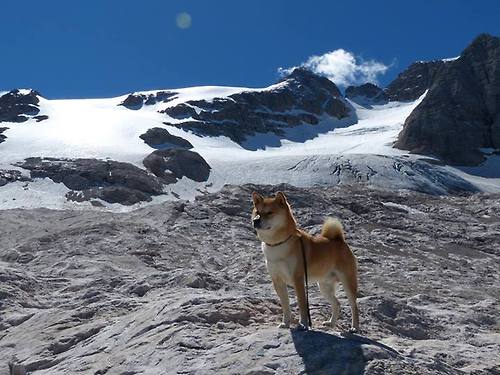 乐鱼官网-意甲巅峰对决:攻守转换中的精彩瞬间,意甲巅峰期