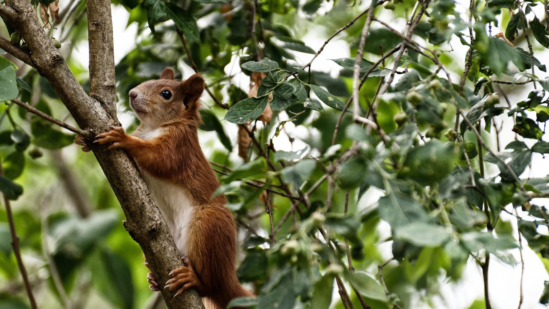 乐鱼(LEYU)体育-欧洲杯激动人心:逆转战局的精彩瞬间,2021欧洲杯逆转