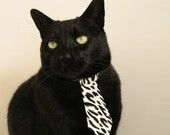 乐鱼体育APP官方下载-澳大利亚橄榄球的全球扩展加速,赛事影响力大幅提升,澳大利亚英式橄榄球联赛