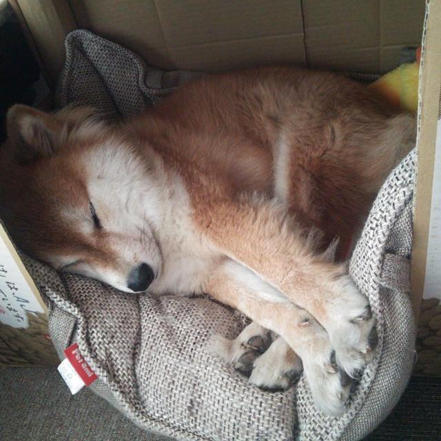 leyu乐鱼体育综合-足球校园联赛扩展至乡镇中学，校园足球联赛内容