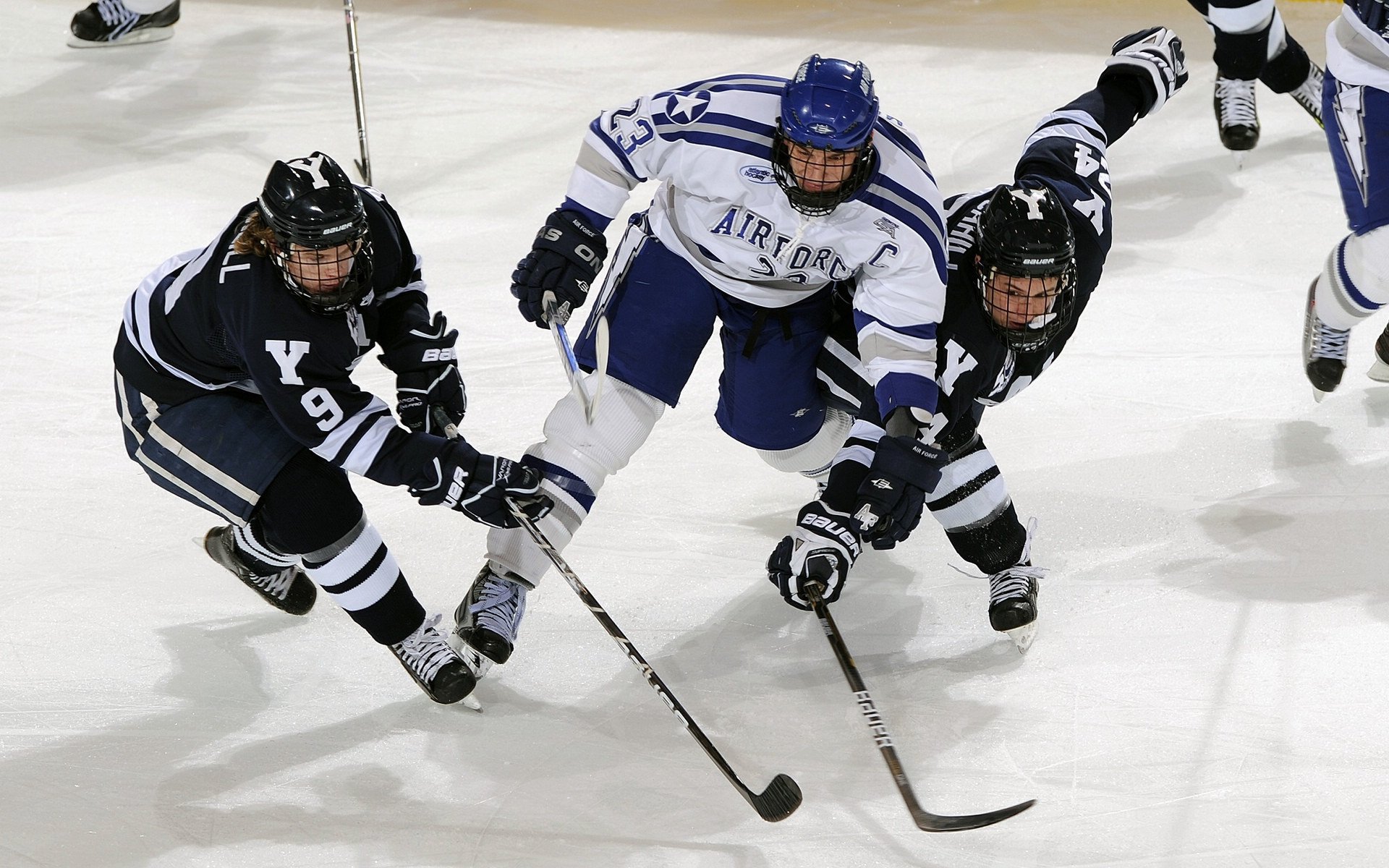 垂钓+慢走“复合运动节” 倡导静态与动态交替